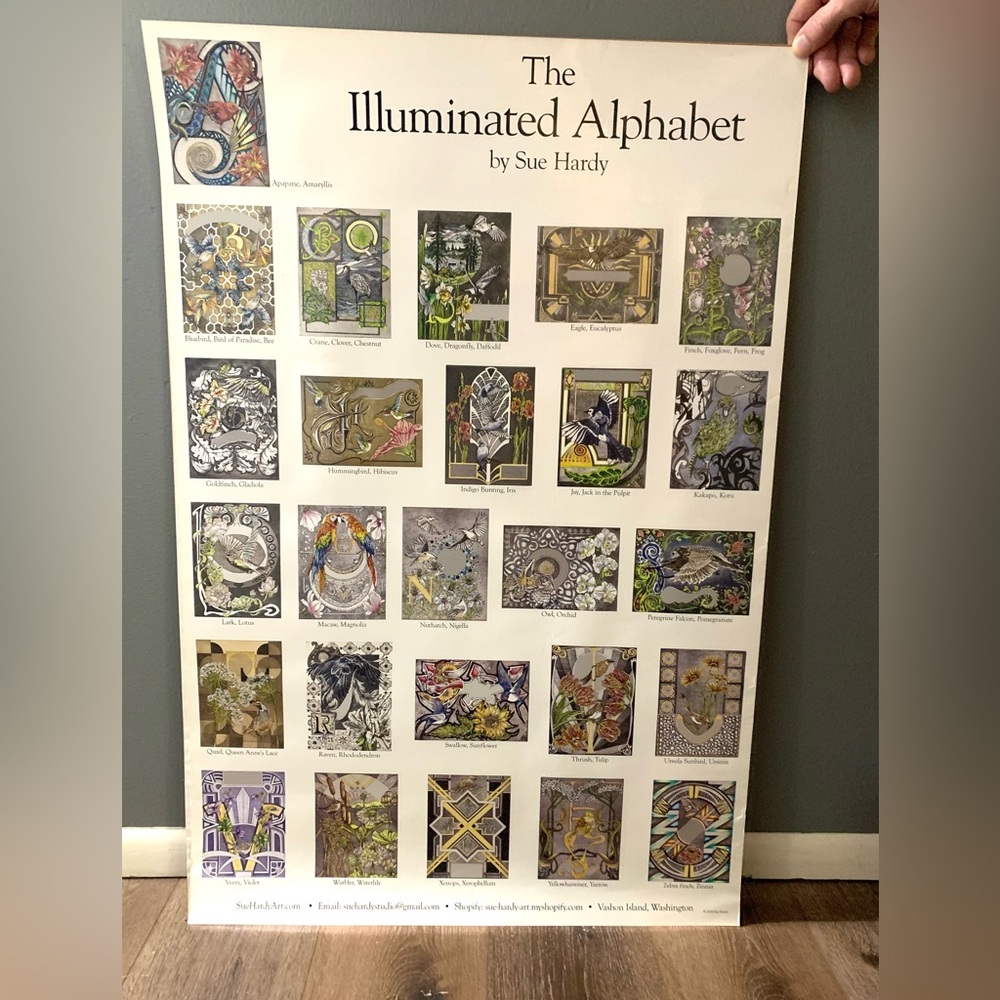 “Illustrated Alphabet” by Vischon WA artist, Sue Hardy - Picture 9 of 9